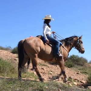 Meet your Posher, Belinda